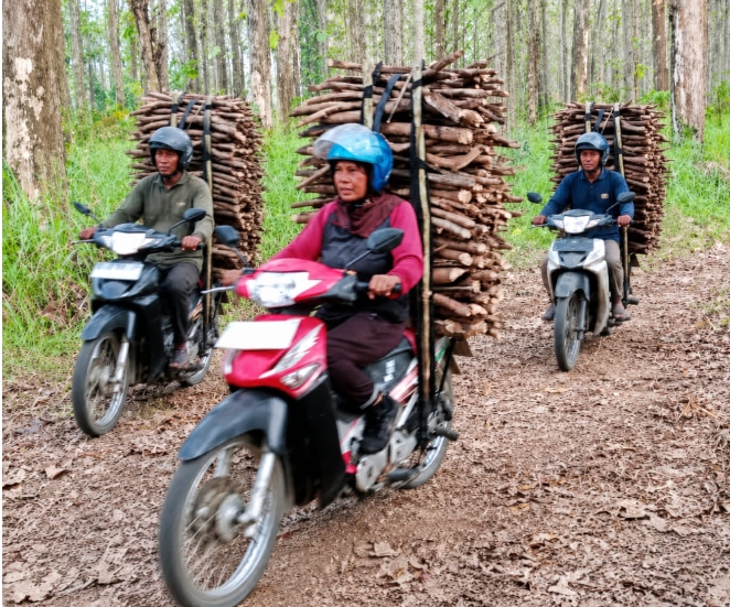 Kemarau Bukan Musibah, Rencek Hutan Jati Jadi Napas Ekonomi Warga Cibunar Tegal