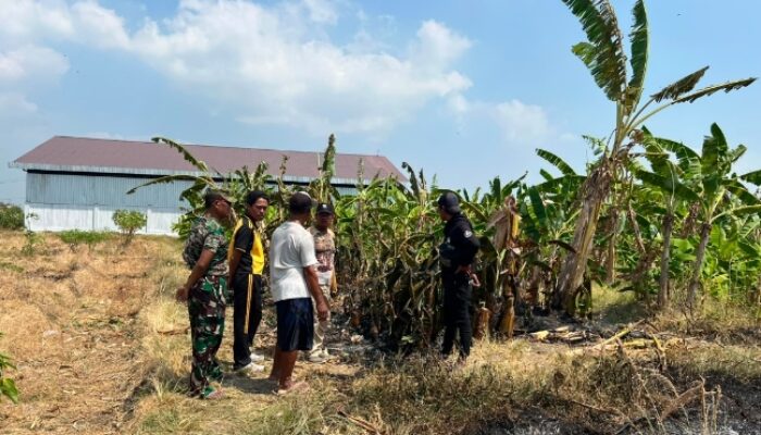 Niat Bersihkan Sawah Berujung Petaka, Motor Petani di Brebes Ludes Dilalap Api Saat Bakar Rumput Kering