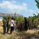 Niat Bersihkan Sawah Berujung Petaka, Motor Petani di Brebes Ludes Dilalap Api Saat Bakar Rumput Kering