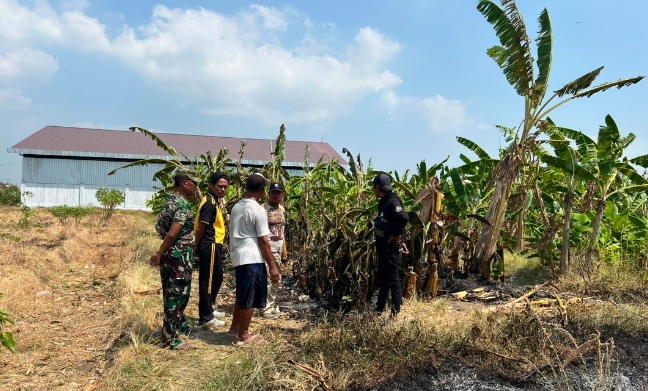 Niat Bersihkan Sawah Berujung Petaka, Motor Petani di Brebes Ludes Dilalap Api Saat Bakar Rumput Kering
