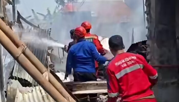 Dua Kebakaran Menghantam Kabupaten Tegal dalam Sehari, Aktivitas Pembakaran Diduga Jadi Pemicu