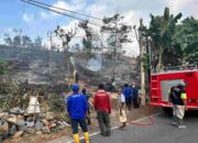Karhutla Mengamuk di Hutan Perhutani Pagelaran, Sekitar 6 Hektare Lahan Dilalap Api