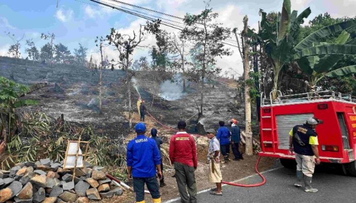 Karhutla Mengamuk di Hutan Perhutani Pagelaran, Sekitar 6 Hektare Lahan Dilalap Api