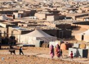 Skandal Penyelewengan Bantuan Kemanusiaan di Kamp Tindouf: Keuangan Polisario Dipertanyakan, Wilson Lalengke Desak Pembubaran Kamp