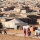 Skandal Penyelewengan Bantuan Kemanusiaan di Kamp Tindouf: Keuangan Polisario Dipertanyakan, Wilson Lalengke Desak Pembubaran Kamp