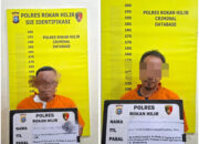 Polres Rokan Hilir tindak tegas Illegalloging di Sinaboi, 2 Tersangka Diamankan, Ratusan Batang Kayu Disita