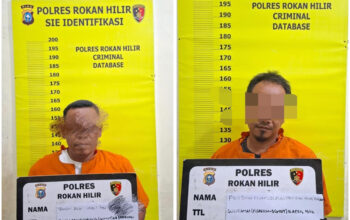 Polres Rokan Hilir tindak tegas Illegalloging di Sinaboi, 2 Tersangka Diamankan, Ratusan Batang Kayu Disita Polres Rokan Hilir tindak tegas Illegalloging di Sinaboi, 2 Tersangka Diamankan, Ratusan Batang Kayu Disita