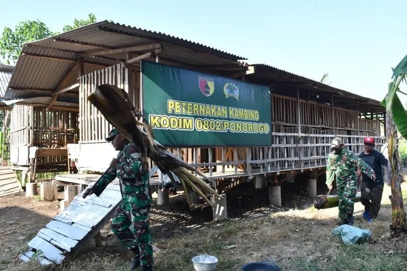 Kompi Produksi Kodim Ponorogo Jadi Penggerak Ketahanan Pangan di Wilayah