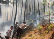 Lereng Gunung Limas Dilalap Api, Petugas Cegah Kebakaran Menjalar